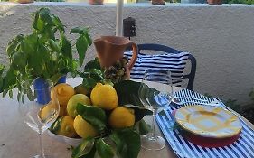 Jasmine House